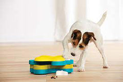Puzzle toys to help dogs mental enrichment