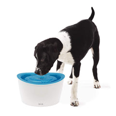 Zeus Water Fountain for Dogs & Cats