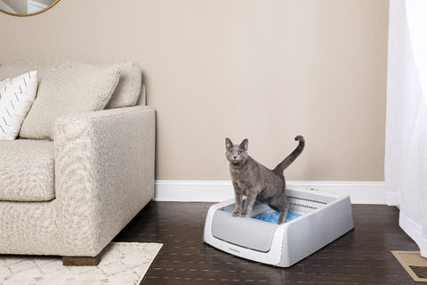 Pet Safe ScoopFree Litter Tray for Cats 2nd Generation Model