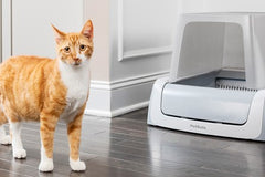 Why the ScoopFree Litter Tray 2nd Generation is a Must-Have for Cat Owners