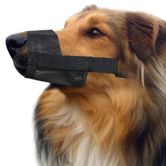 Soft Dog Muzzle Australia