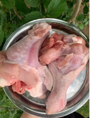 Turkey Drumsticks for Dogs!