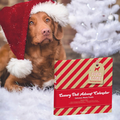Doggy Christmas Advent Calendar