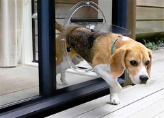 Training your dog to use a dog door