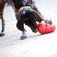 The Kong Wobbler Toy For Dogs