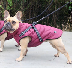Pet One Dog Coat Puffer Jacket With Harness Burgundy