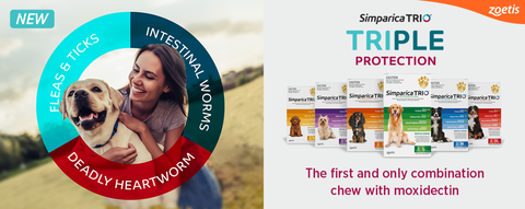 Simparica Trio - The safest Treatment for Heartworm, Fleas & Ticks!