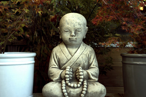 buddha meditation zen 