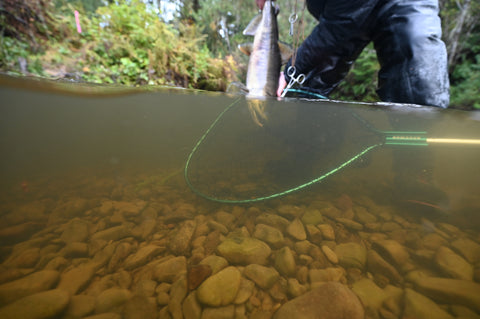 Fly Fishing for Chum Salmon in the Pacific Northwest– Spawn Fly Fish