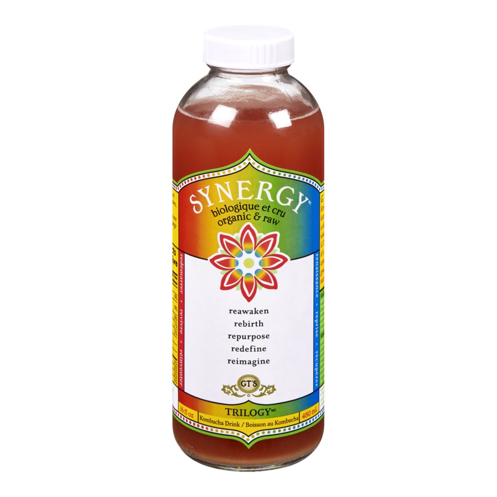 synergy kombucha ginger