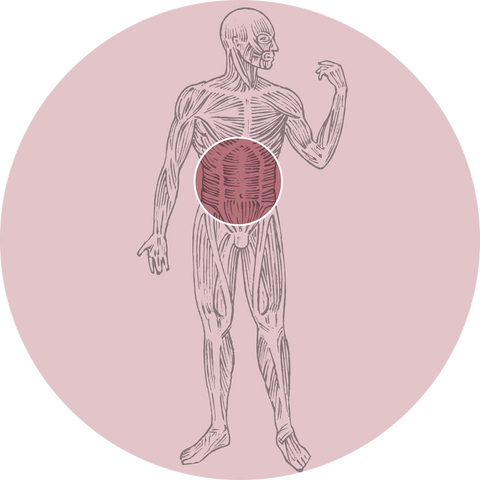 Switchel- Targets and Supports