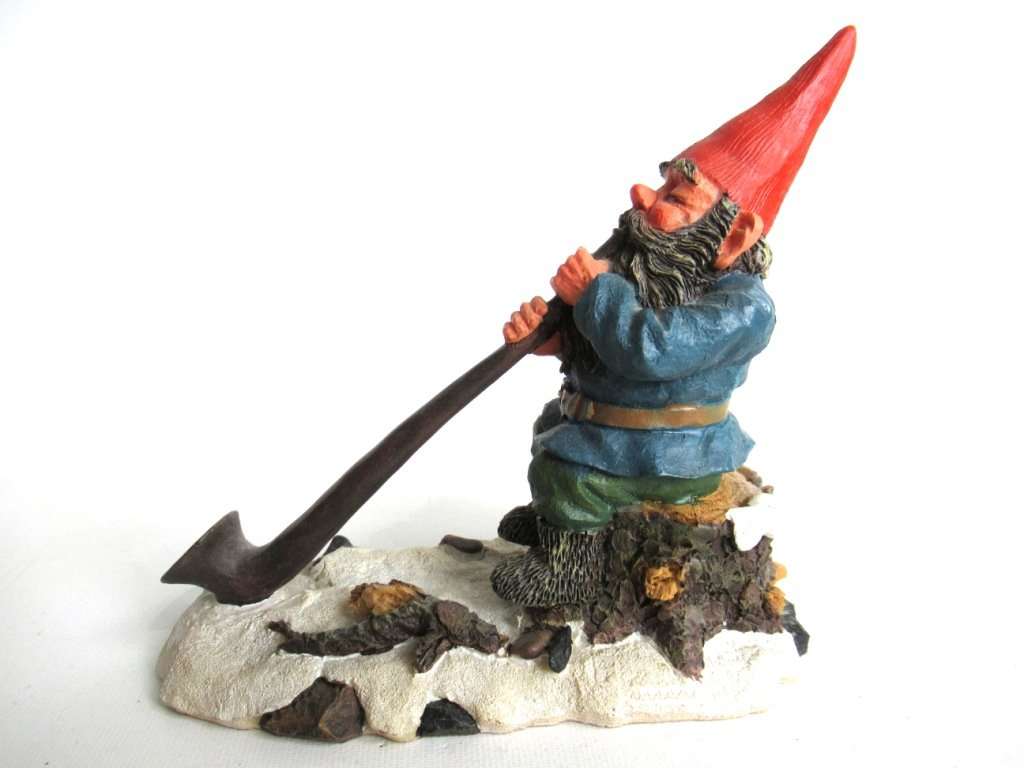 les gnomes rien poortvliet