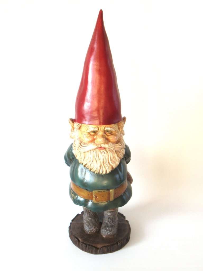 les gnomes rien poortvliet