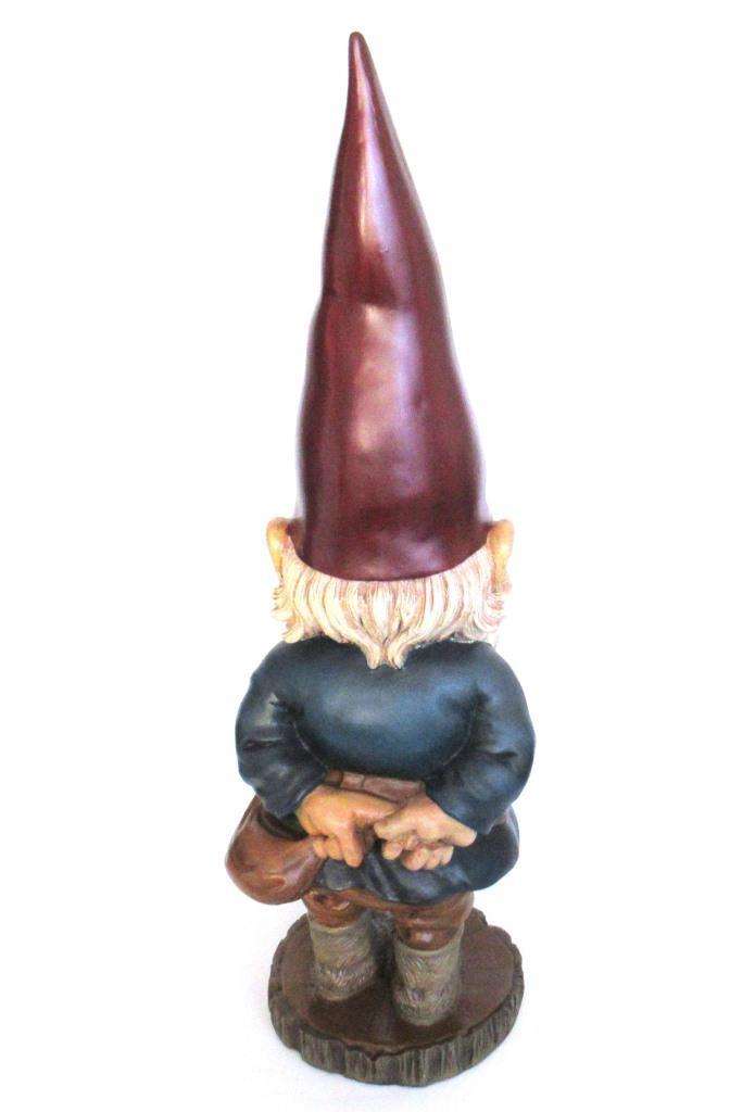 les gnomes rien poortvliet