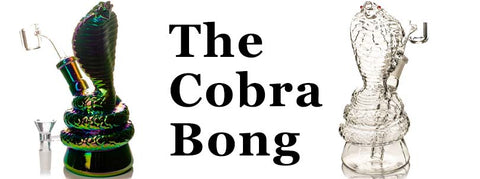 Cobra Dab Rig Bong