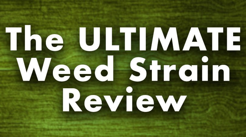 The ultimate weed strain review