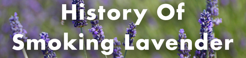 history of smoking lavender