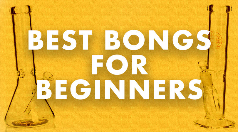 Best bongs for beginners