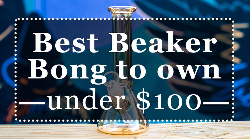 Best Beaker Bong Under 100