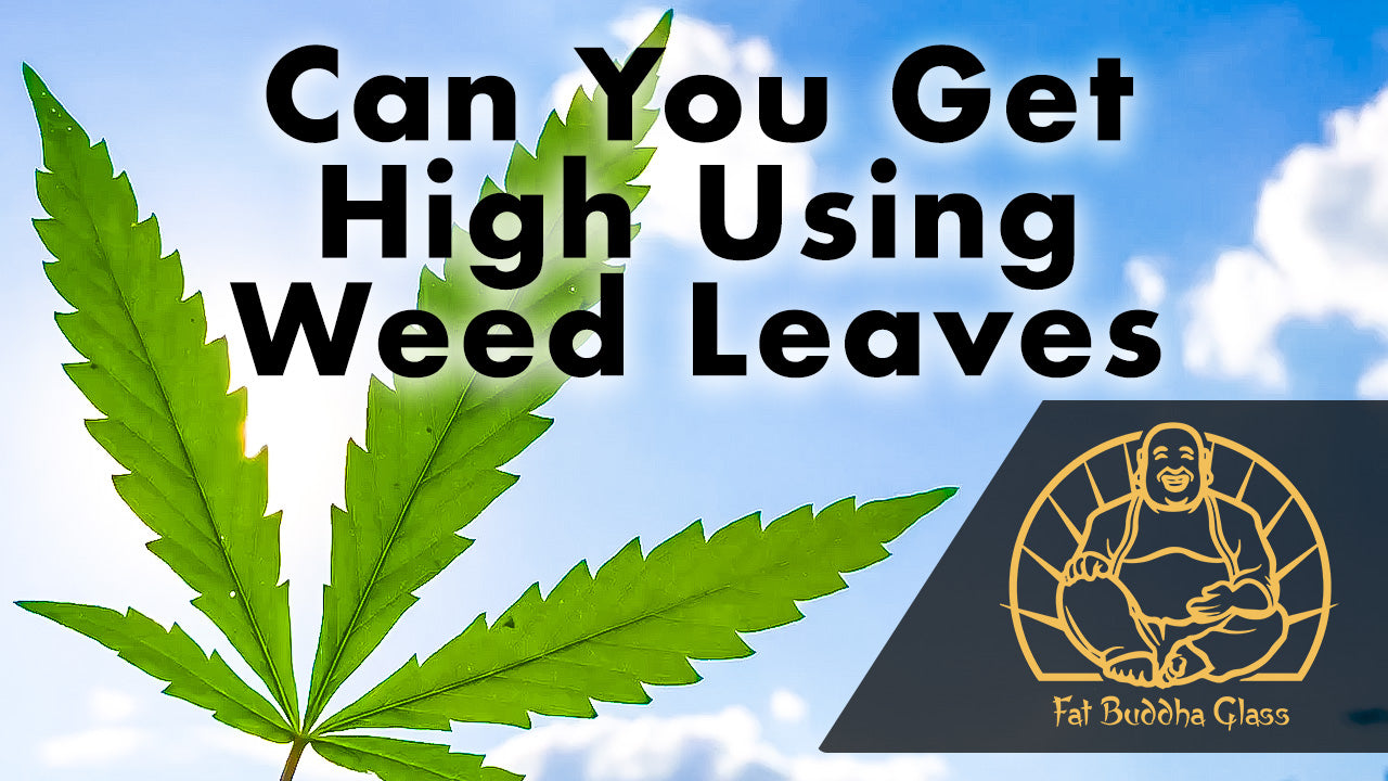 Can you Smoke Weed Leafs and Get High?