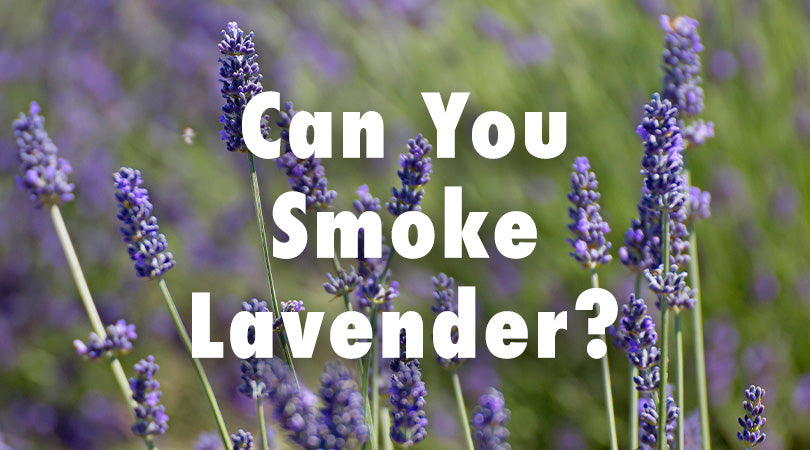 Smoking lavender
