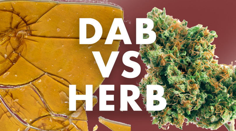 What is the difference between dab and herb