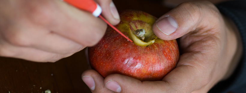 How To Make An Apple Pipe