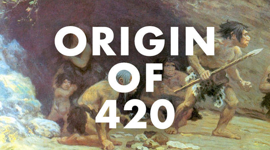 What is the origin of 420?