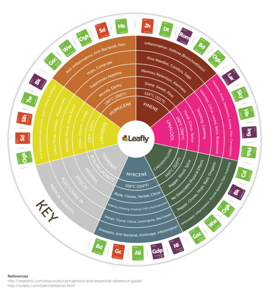 Terpene Chart