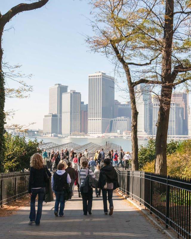 A Day in Brooklyn with Dylan