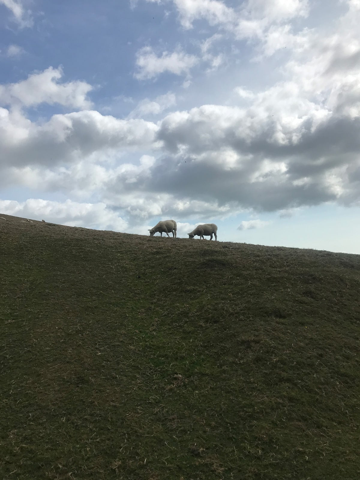 Oaf's Favourite Walks