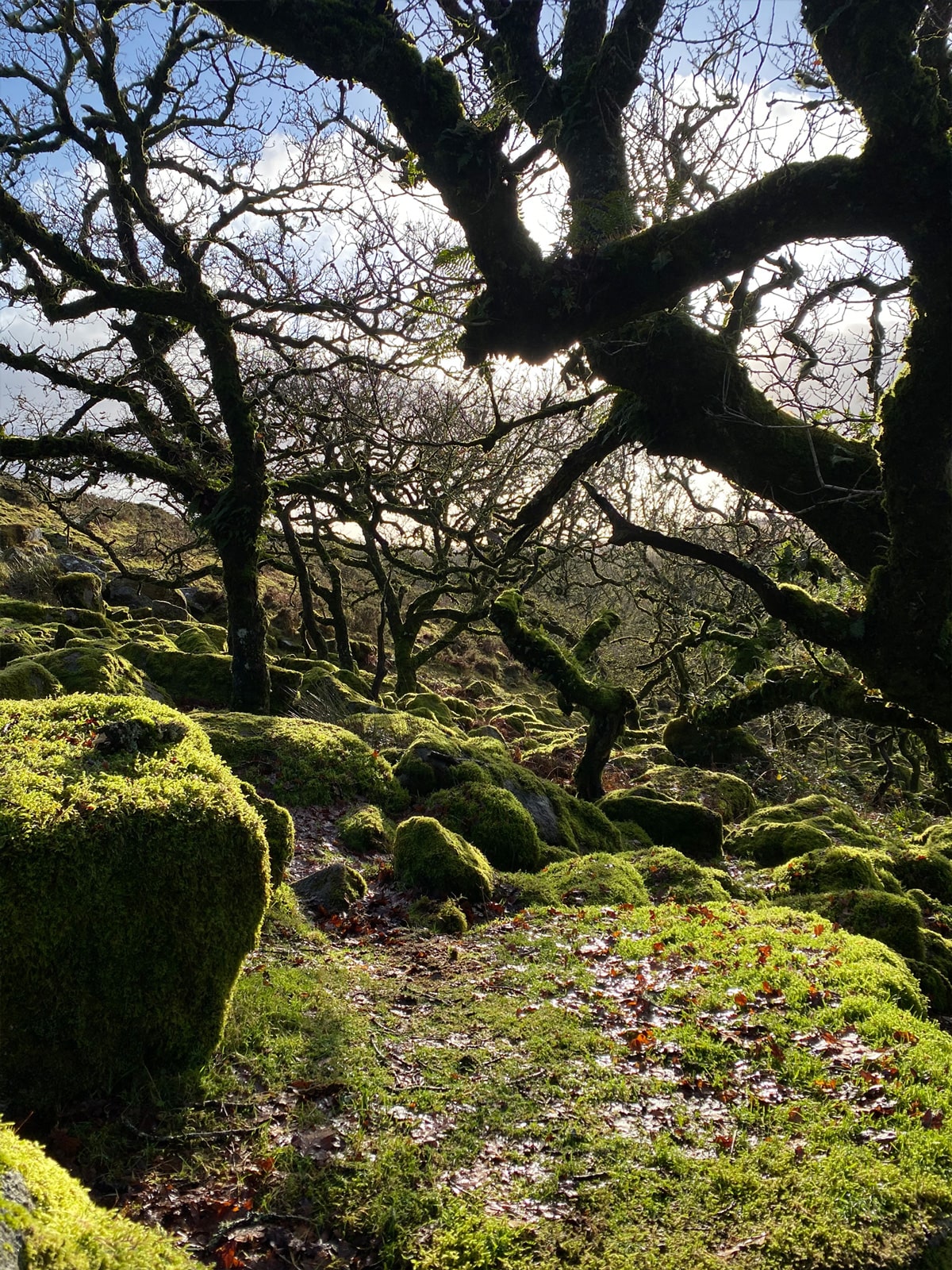 Oaf's Favourite Walks