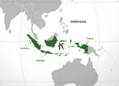 Salatiga en el mapa de Indonesia