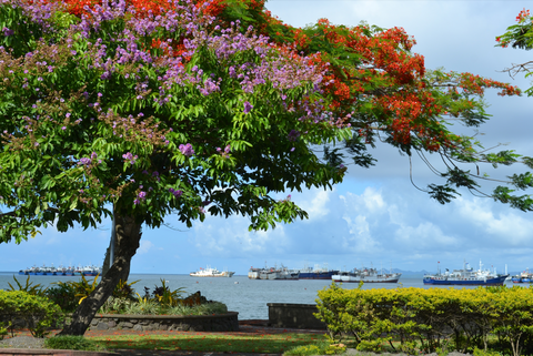 Suva harbor in Fiji