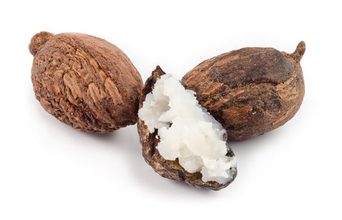 Shea butter plant. Nourishing ingredient in mens shave cream