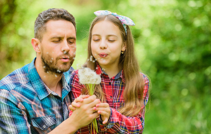 dad daughter collecting dandelion flowers