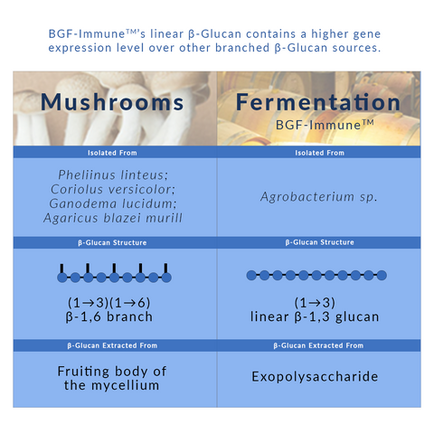 Comparison of beta glucan structures between beta glucan extracted from mushroom and bacteria fermentation