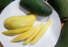 Keow Savoy Mango Fresh Thai Green Mango 4 - 4.5 lbs.