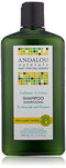 Andalou Naturals Shampoo Shine Sunflower Citrus
