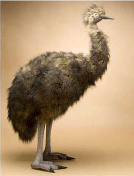 giant stuffed ostrich