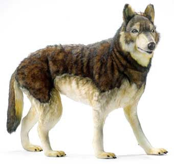 realistic stuffed wolf