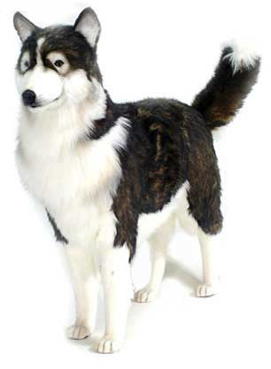 husky dog stuffed toy