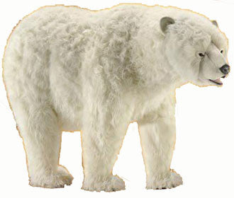 hansa polar bear