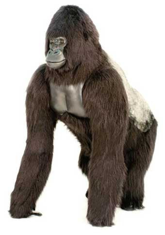 life size stuffed gorilla