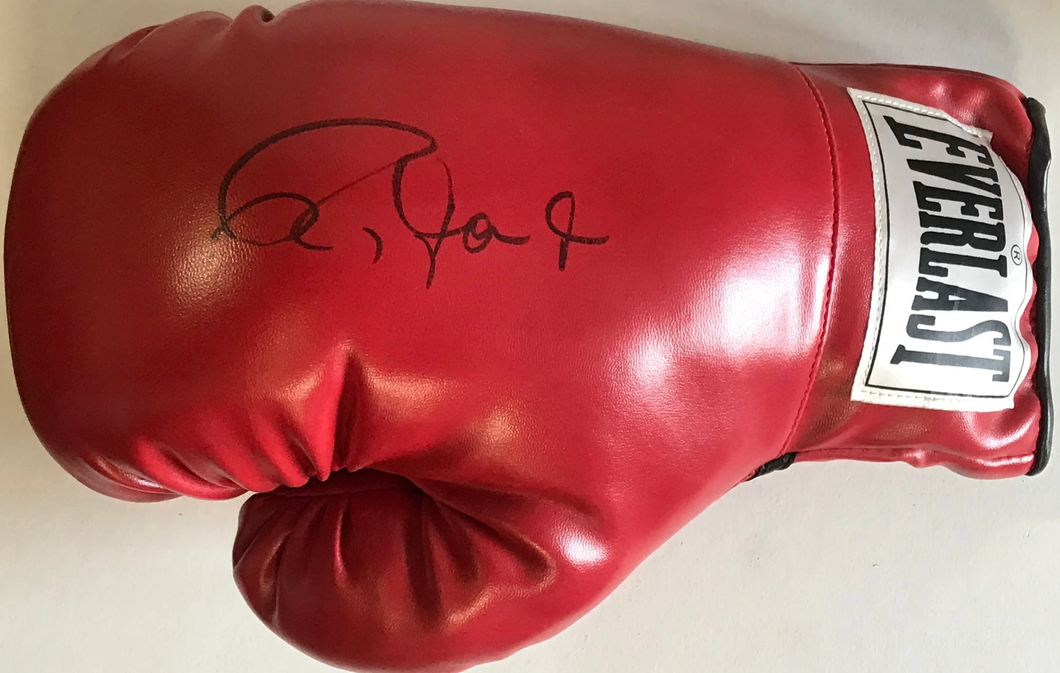 roy jones jr gloves