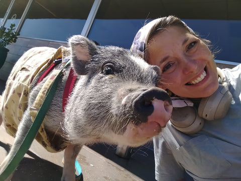 Mini pig with Ali of Wilbur Pepper Mini Pig Sanctuary