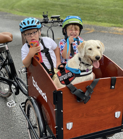 Children plus service dog in cargo box of cargo bike