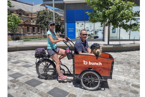 Man and golden retriever in K9 Bunch Bike