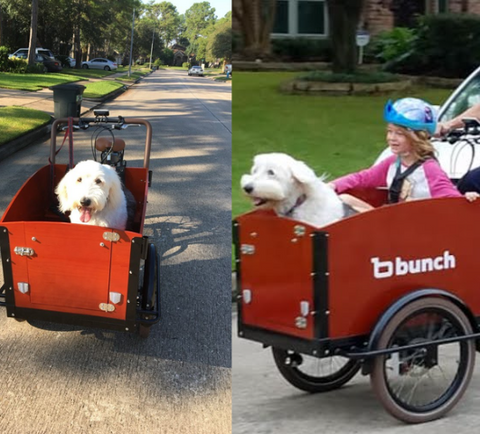 Ellie the dog in her K9 Bunch Bike along with a neighborhood friend child