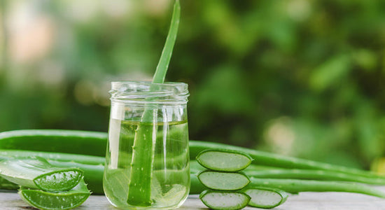 Aloe Vera: A Superstar Hair Ingredient for Hair Care & Growth